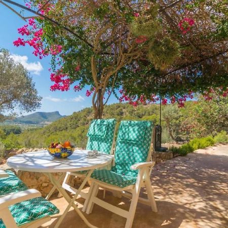 אנדרטקס Holiday Home Can Tiona By Interhome מראה חיצוני תמונה
