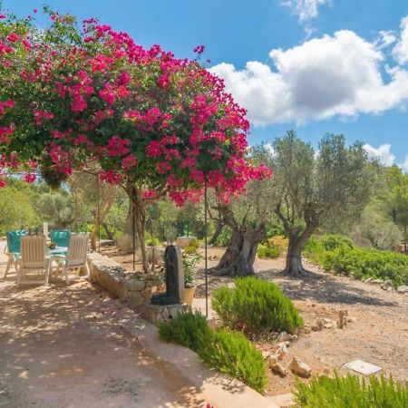 אנדרטקס Holiday Home Can Tiona By Interhome מראה חיצוני תמונה